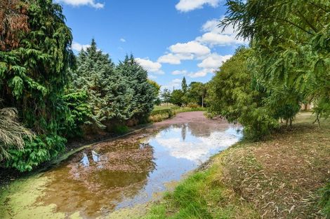 Photo of property in 17 Coulters Line, Kiwitea, Feilding, 4777