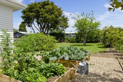 Photo of property in 9 Williams Crescent, Point Wells, Warkworth, 0986