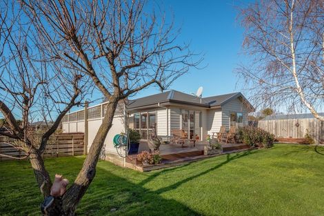 Photo of property in 10 Wilson Street, Seddon, 7210