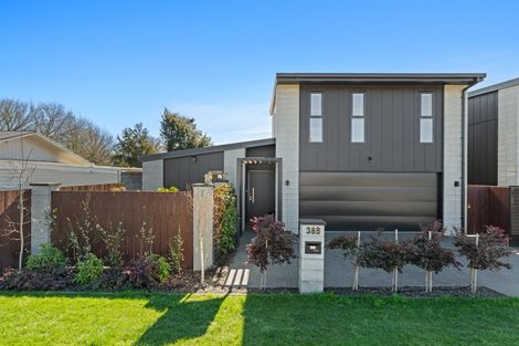 Photo of property in 38b Monro Street, Blenheim, 7201