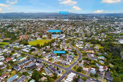 Photo of property in 102 Tirimoana Road, Te Atatu South, Auckland, 0602