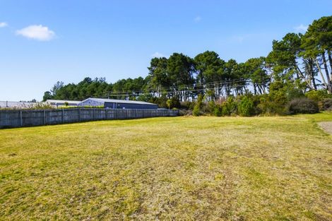 Photo of property in 189 Parekaawa Drive, Motuoapa, 3382