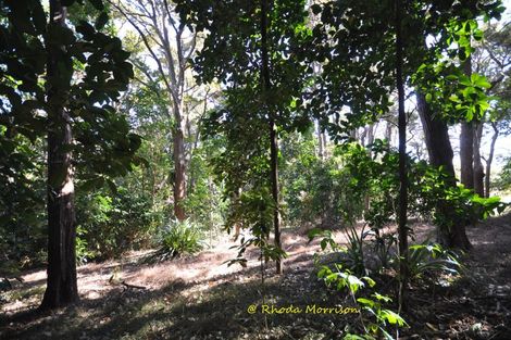 Photo of property in 196 Metcalfe Road, Matakohe, 0593