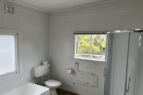Photo of property in 28 Buchanan Street, Kingsland, Auckland, 1021