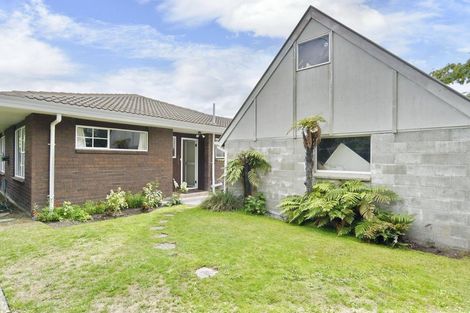 Photo of property in 47a Lagan Street, Belfast, Christchurch, 8051