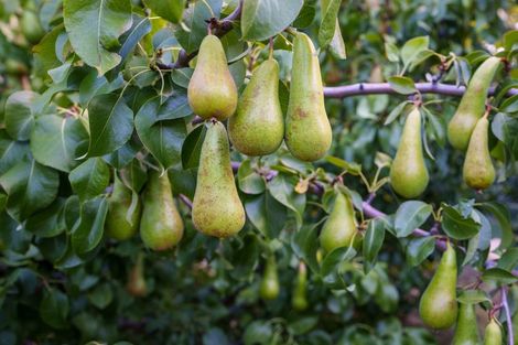 Photo of property in 337 Beacon Point Road, Wanaka, 9305