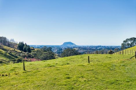 Photo of property in 164c Crawford Road, Wairoa, Tauranga, 3171