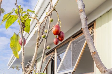 Photo of property in 10 Monmouth Place, Tamatea, Napier, 4112