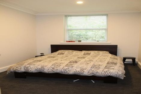 Photo of property in 30 Dowling Street, Dunedin Central, Dunedin, 9016