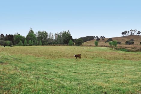 Photo of property in 309 Old Woodcocks Road, Kaipara Flats, Warkworth, 0981