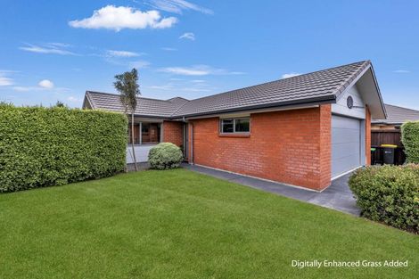 Photo of property in 17d Blackburn Street, Kaiapoi, 7630
