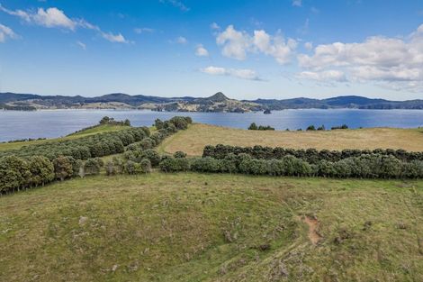 Photo of property in 396 Lees Road, Hahei, Whitianga, 3591