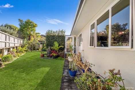 Photo of property in 19 Emmerdale Place, Ohauiti, Tauranga, 3112