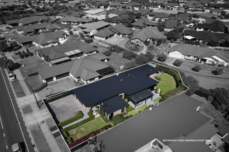 Photo of property in 379 Borman Road, Flagstaff, Hamilton, 3210