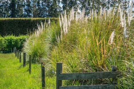 Photo of property in 49 Ashworths Road, Amberley, 7481