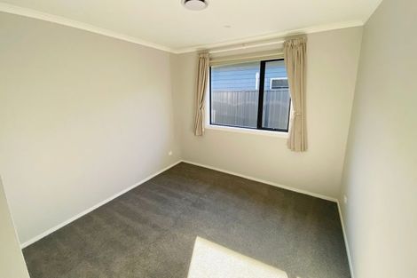 Photo of property in 19 Dinneen Close, Frimley, Hastings, 4120