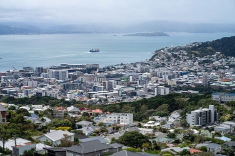 Photo of property in 149a Karepa Street, Brooklyn, Wellington, 6021