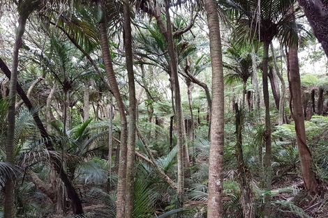 Photo of property in 328 Upper Harbour Drive, Greenhithe, Auckland, 0632