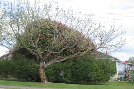 Photo of property in 11a Wharenui Road, Owhata, Rotorua, 3010