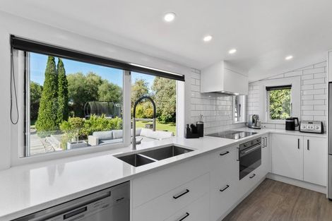 Photo of property in 63 Dublin Street, Martinborough, 5711