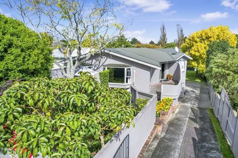 Photo of property in 17 Queenwood Avenue, Queenwood, Hamilton, 3210