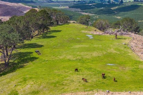 Photo of property in Babylon Coast Road, Parore, Dargaville, 0373