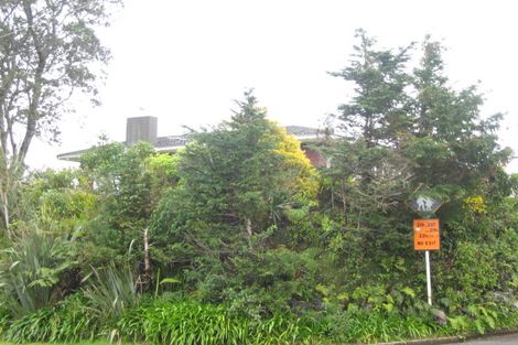 Photo of property in 219 Huatoki Street, Upper Vogeltown, New Plymouth, 4310