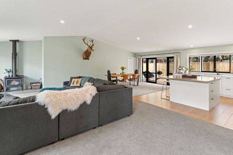 Photo of property in 56 Daniell Street, Solway, Masterton, 5810