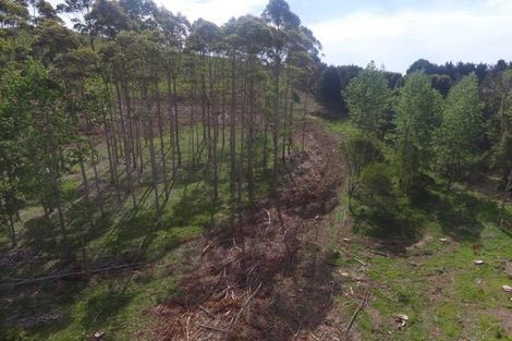 Photo of property in 59 Harbour View Rise, Mangonui, 0494