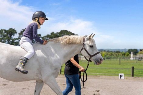 Photo of property in 324 Norfolk Road, Waingawa, 5791