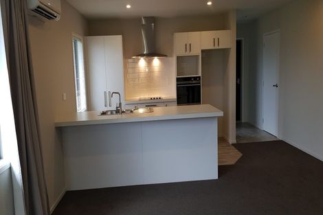 Photo of property in 19 Zabeel Street, Lincoln, 7608