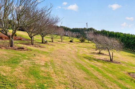 Photo of property in 157e Kaiate Falls Road, Waitao, Tauranga, 3175
