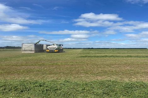 Photo of property in 784 Wrights Road, Oxford, 7495