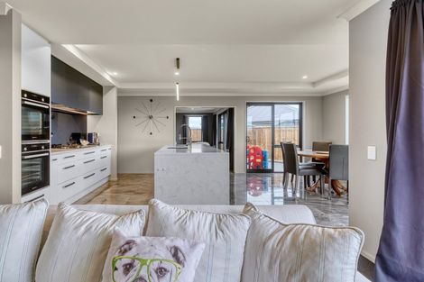 Photo of property in 55 Tiritiri Moana Drive, Pegasus, 7612