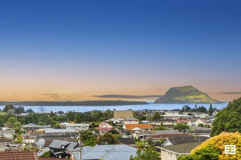 Photo of property in 24a Western Road, Otumoetai, Tauranga, 3110