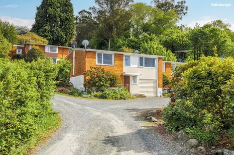 Photo of property in 28c Cornhill Street, North East Valley, Dunedin, 9010
