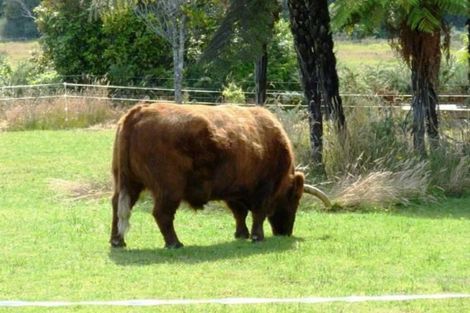 Photo of property in 374 Rutherglen Road, Marsden, Greymouth, 7805