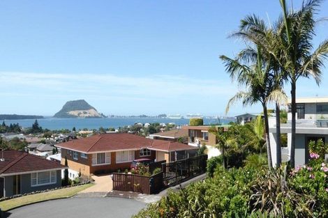 Photo of property in 10 Hazel Terrace, Otumoetai, Tauranga, 3110
