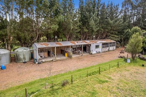 Photo of property in 356 Matamau Ormondville Road, Matamau, Dannevirke, 4977