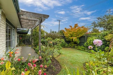 Photo of property in 42 Crofton Road, Harewood, Christchurch, 8051