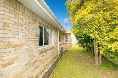 Photo of property in 17 Carey Street, Maeroa, Hamilton, 3200