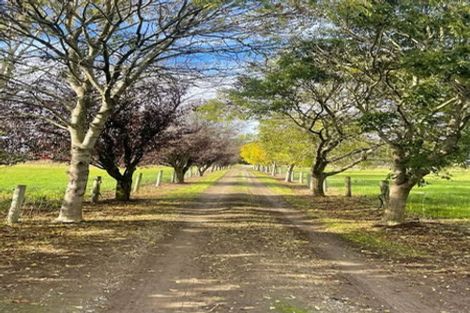 Photo of property in 44 Woolshed Road, Reidston, Oamaru, 9492