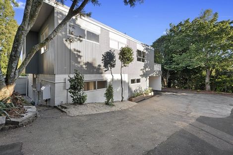 Photo of property in 12a Ridout Street, Maeroa, Hamilton, 3200