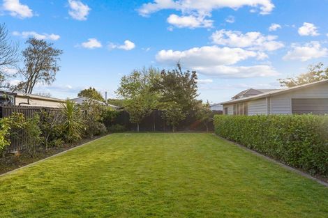 Photo of property in 145 Mersey Street, St Albans, Christchurch, 8014