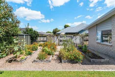 Photo of property in 13 Lilac Close, Cambridge, 3434