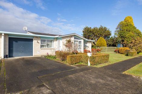 Photo of property in 6 Takahe Street, Masterton, 5810