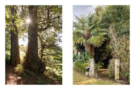 Photo of property in 63a Mountier Road, Whakamarama, Katikati, 3181