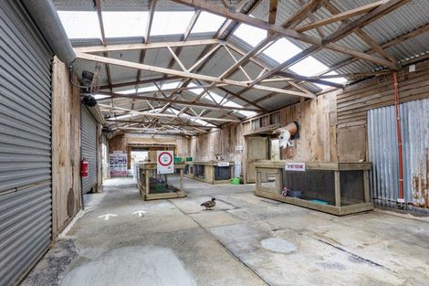 Photo of property in 308 Henderson Valley Road, Henderson Valley, Auckland, 0612