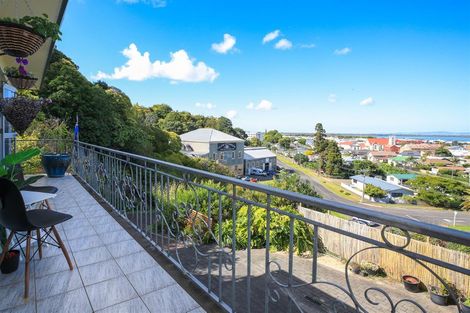 Photo of property in 103 Campbell Street, Thames, 3500