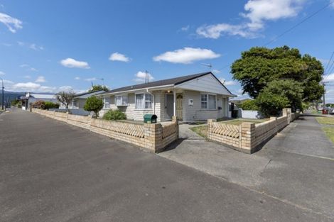 Photo of property in 570 Queen Street East, Levin, 5510
